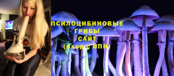 PSILOCYBIN Остров